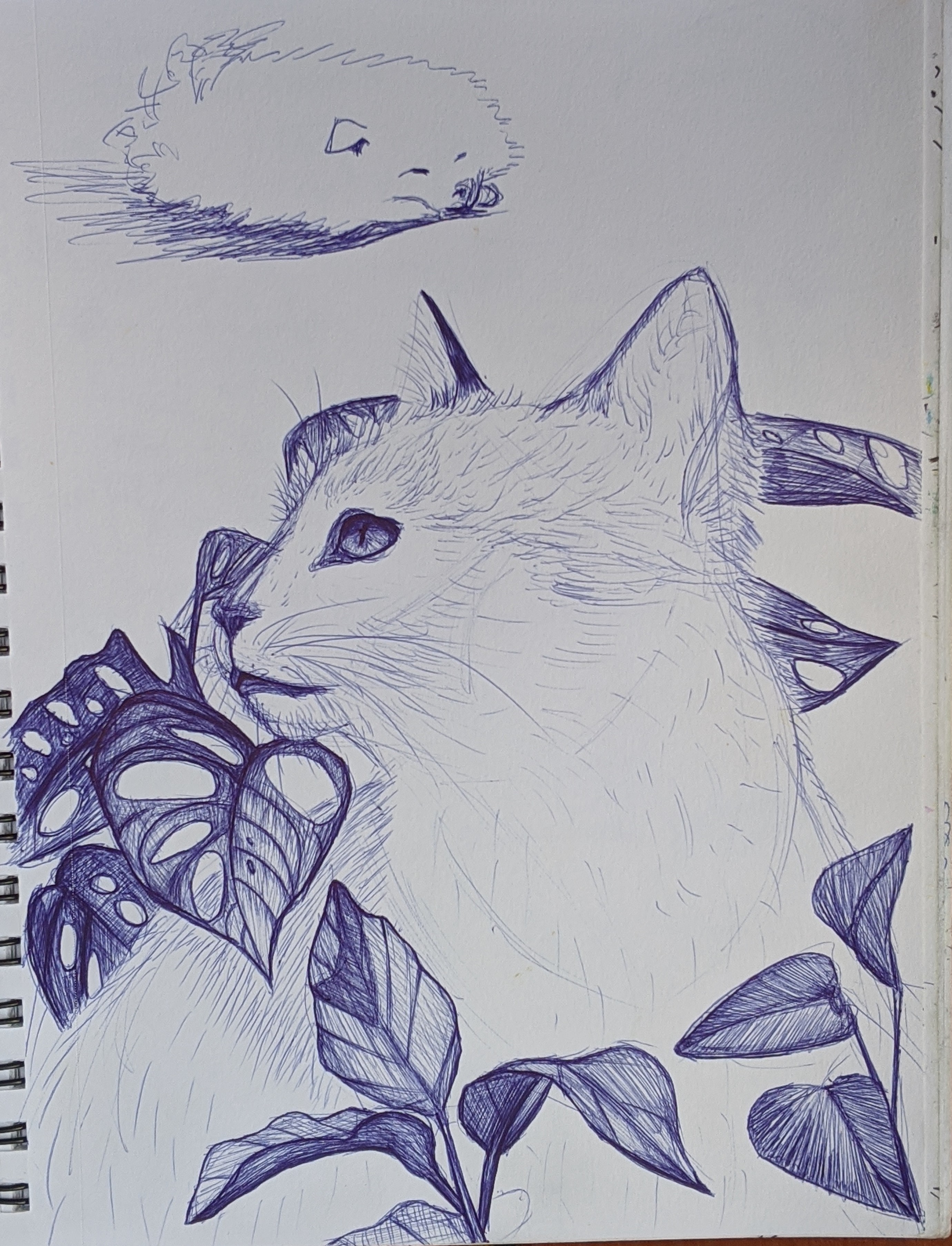 Cat with Plants